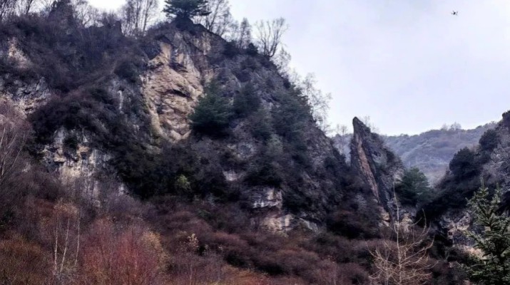 享游渭河源丨渭河源鳥(niǎo)鼠山驚現(xiàn)一只臥鳥(niǎo)